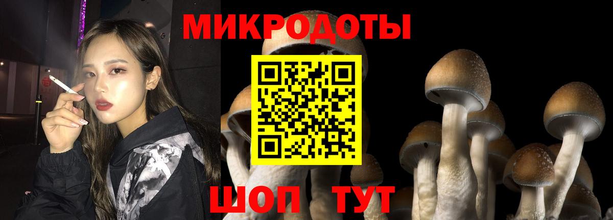 Галлюциногенные грибы GOLDEN TEACHER  даркнет сайт  Чистополь  Вход с VPN  Псилоцибиновые грибы ЛСД 